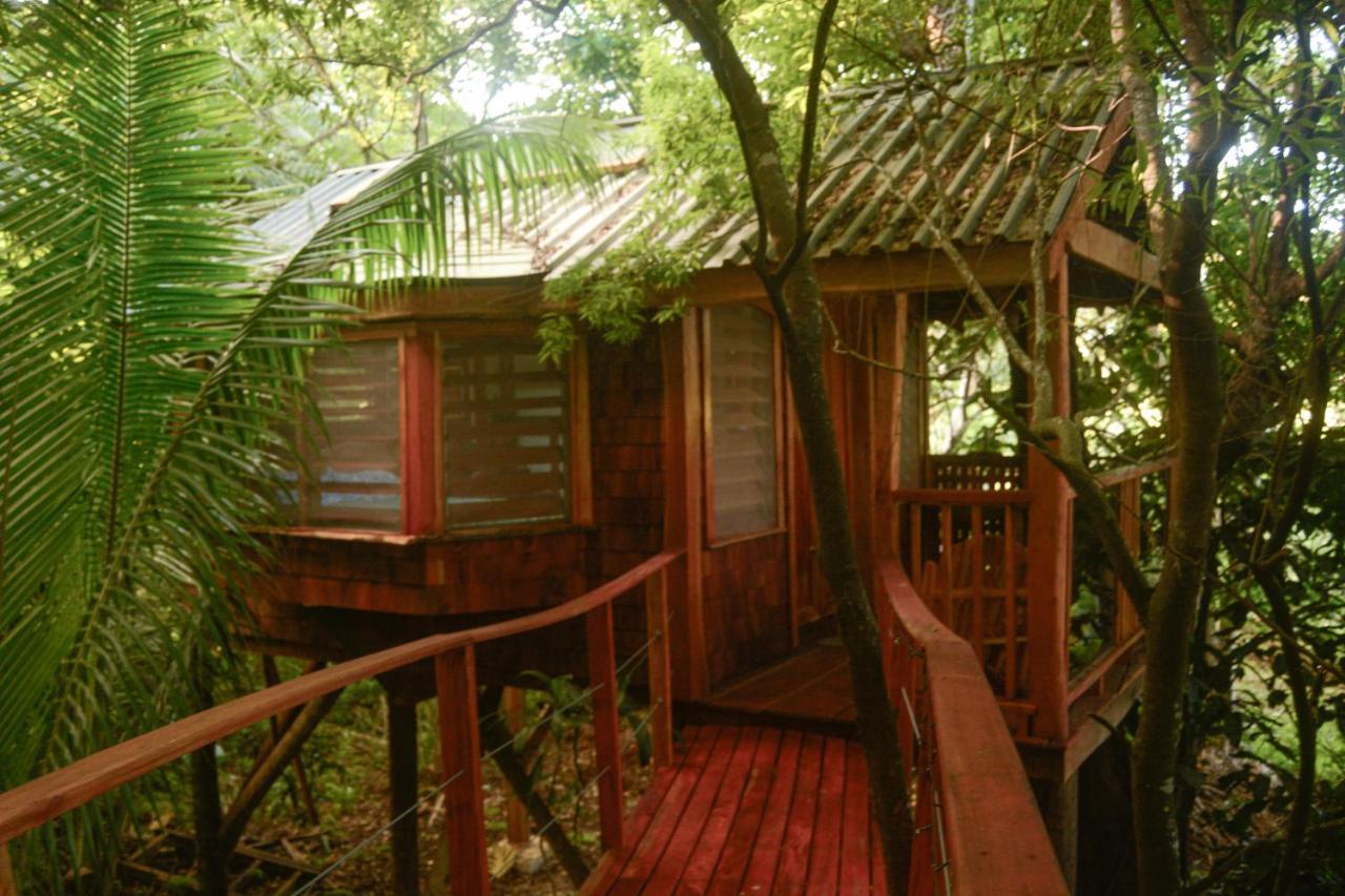 Tukulolo Treehouses Makaunga 外观 照片