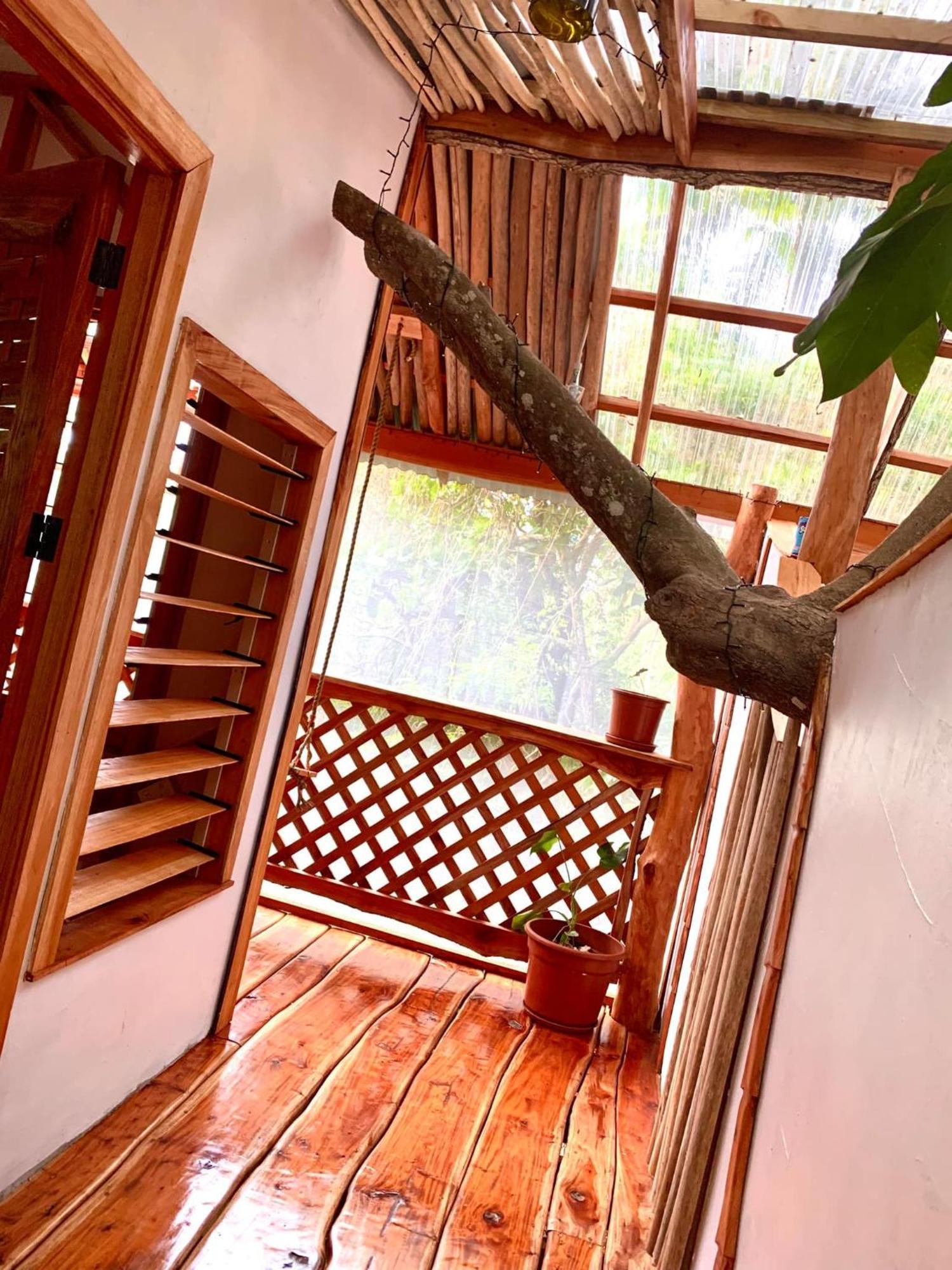 Tukulolo Treehouses Makaunga 外观 照片